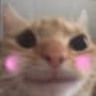 HappyCat emote