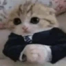 Baseg emote