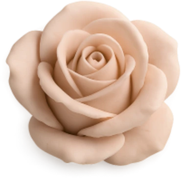 sandyrose emote