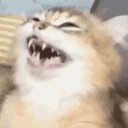 eugh emote
