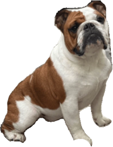 Otis emote