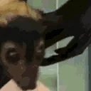batJAM emote