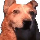 monkers emote