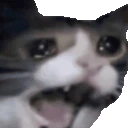 catYAMERO emote