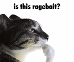 ragebait emote