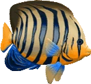 Damien emote