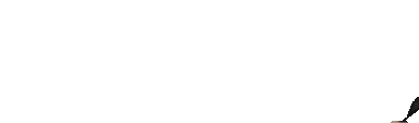 doctorRun emote