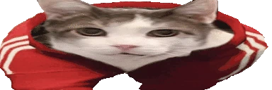 catWalk emote