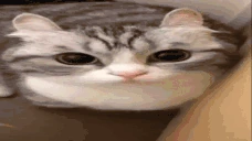 vzorvalsa emote