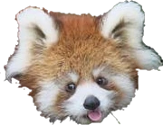 redpandableppng emote
