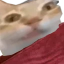 AwakeBedErmge emoji