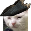 bloodbornebutatwhatcost static emote