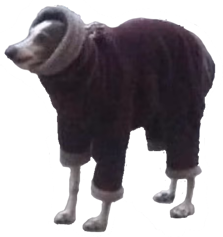 scrungus emote