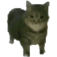 OIIAIOIIIAI emote
