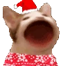 christmascatpop emote