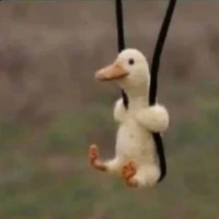 cute_duck emoji