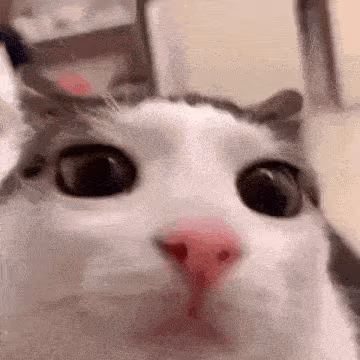 me emote