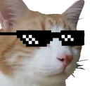 CatCuteSwag emote
