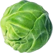 BrusselsSprout emote