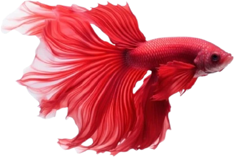 redfish emote