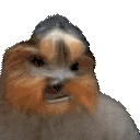 bbFaint emote