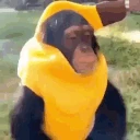 monkebanana emote