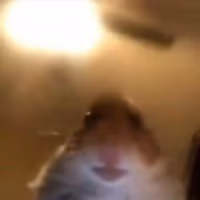 Trecker emote