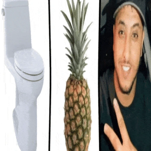 toiletananasnadas emote