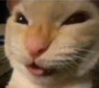 Nyehehehe emote