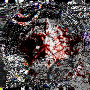 reaihax avatar