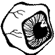 weird_eyeball animated emote