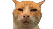Huh emote