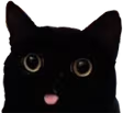 CatMelm emote