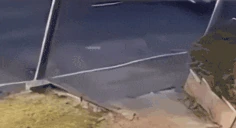 Leitplanke emote