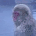 WaitingForStream emote