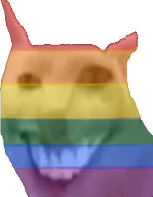 pride_cute_cat emote