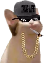 Sweg_popkitty emote