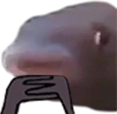 HMMMM emote
