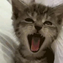 yawn emote