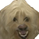 dog_haha emote