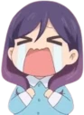 fujoshiCry emote