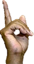 hesRight0 emote