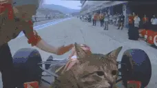Driving emote