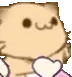 KittyHug emote