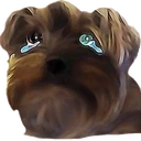 BBSad emote