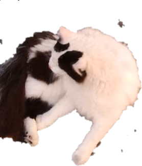 1692348126778 emote