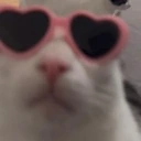 monkey_cat_luna_glasses emote