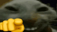 LMAODD emote