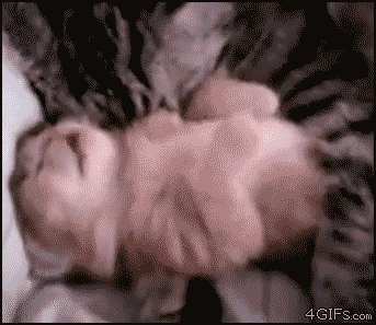 cat_hug emote