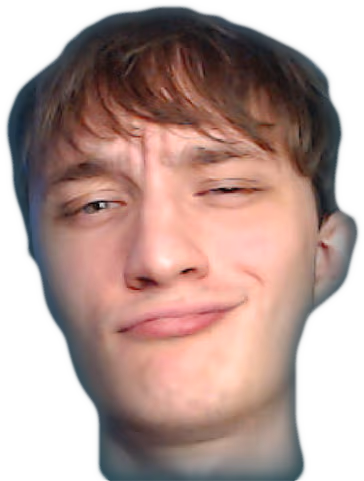 TAUSHAN emote
